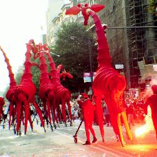 DSC04510
